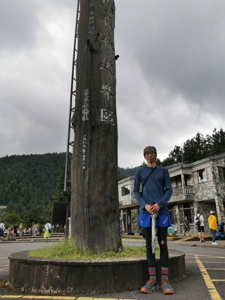 檜木原始林步道-倒臥的巨幹形成雙代木景觀1040694