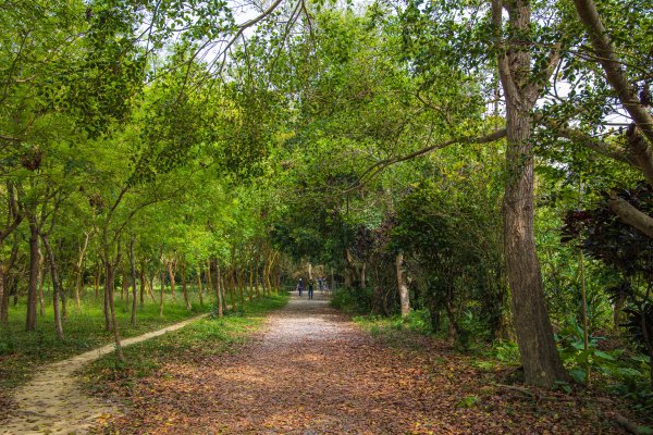 [嘉義]蘭潭水庫、紅毛埤山2757630