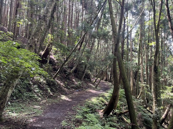 2025_0622 霞喀羅國家步道(石鹿端)2819530