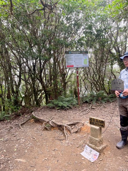 新北 塔曼山2832089