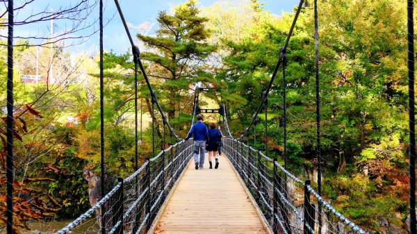 岩手縣嚴美溪2930222