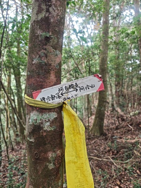 阿冷山 谷關第八雄2877394