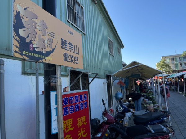 走逛台東 Day 2 鯉魚山步道 走走都蘭山步道1+K3006385