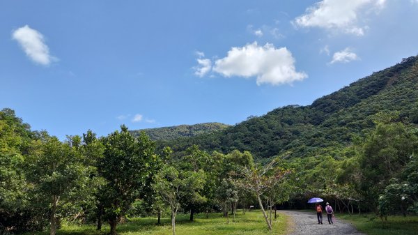 雙流沿山步道1523887