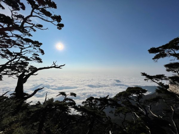 見證最美麗北大武山雲海、鐵杉1318825
