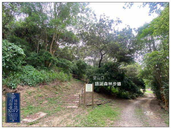 土地公坑山 新路線 (彰化、花壇)3070354