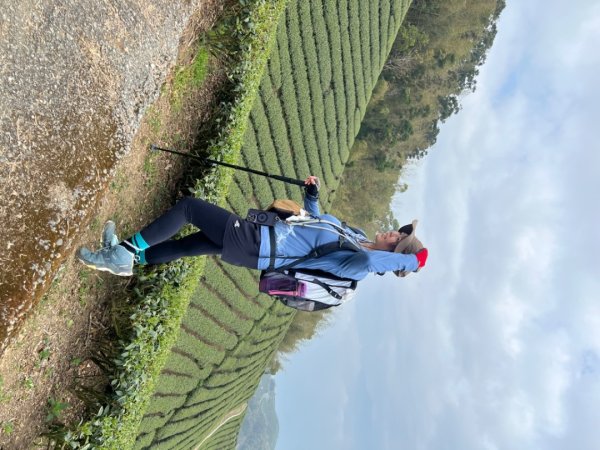 雲嘉連峰/青年嶺/水社寮2750458