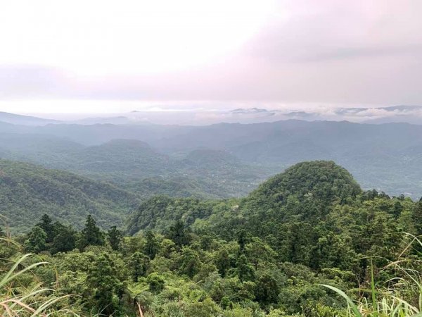 202009 五分山1093014