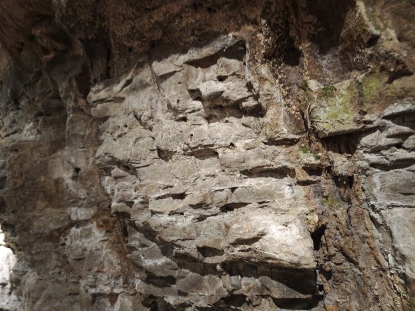 2026_0131 基隆塔2997868