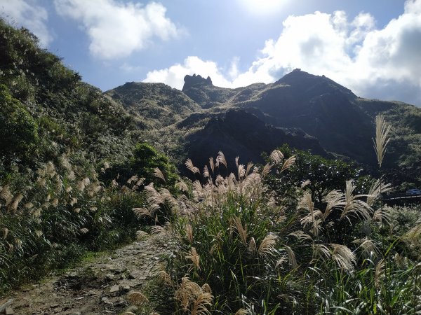 茶壺山賞芒,煙囪稜看海1186678