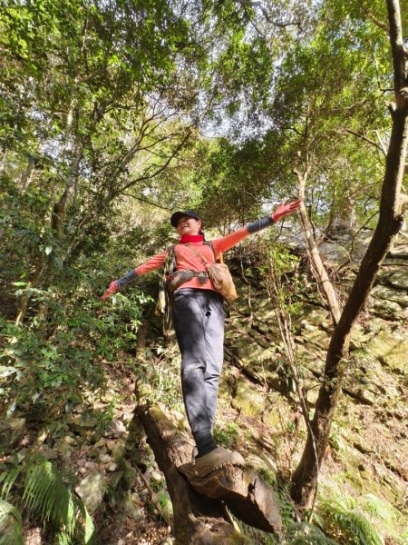 【谷關七雄】波津加(H1771.6m)肉腳配速成功2670617