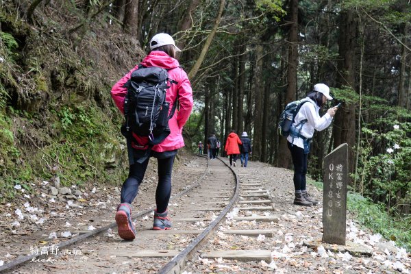 特富野古道1407535