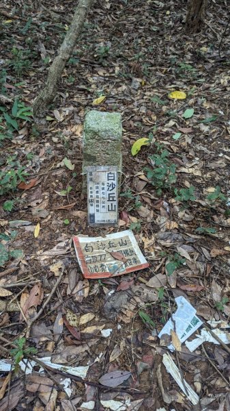 113.06.16白沙丘山-舊草嶺隧道-隆嶺古道之旅2530530