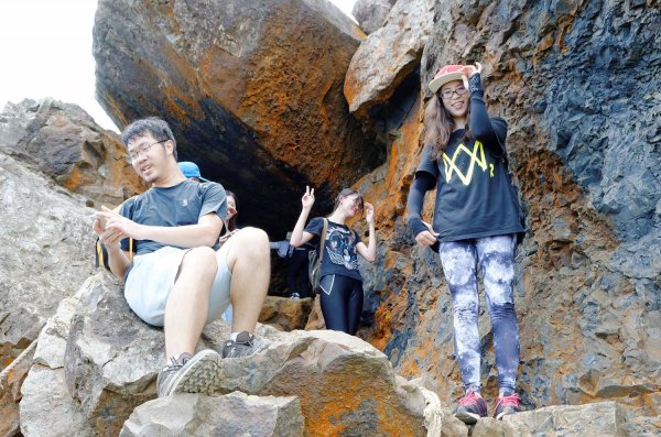 無耳茶壺山。黃金三稜539678