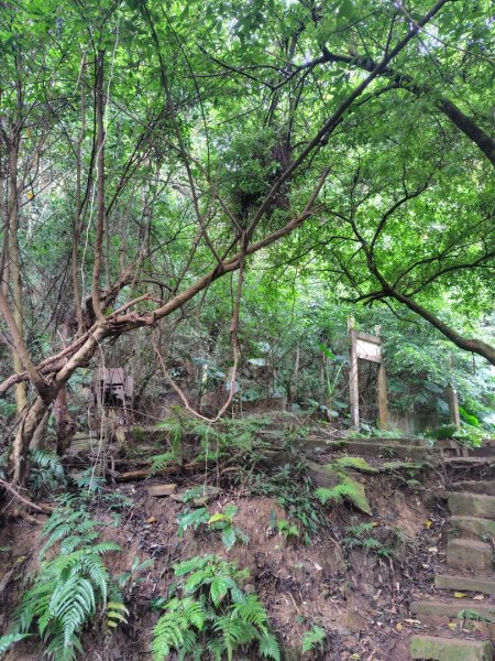 鳳鳴古道 鳳鳴山 南隘勇（南長城）古道 三湖山 八達嶺（龍骨）古道 綠色古道 延平古道2975329