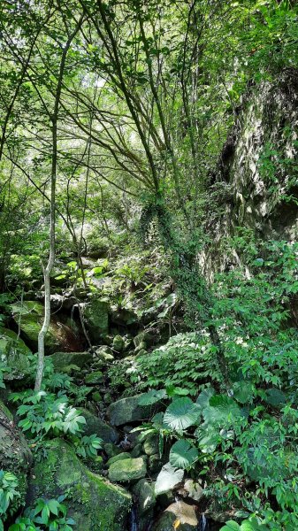 《新竹》古道巡禮｜馬胎古道202207161765482