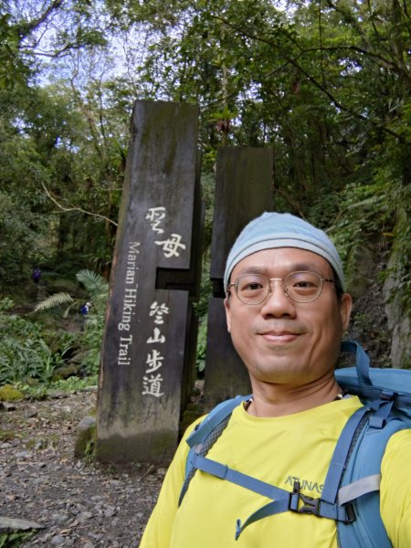 朝聖抹茶山2949492