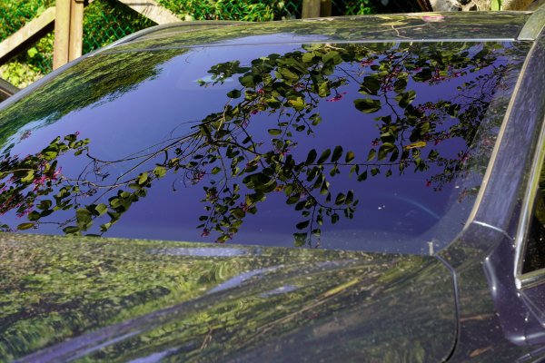 聚興山 新田登山步道2670656