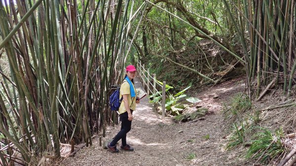 (姨婆趴趴走)第十七集:基隆暖東峽谷環山遊憩步道健走2228411