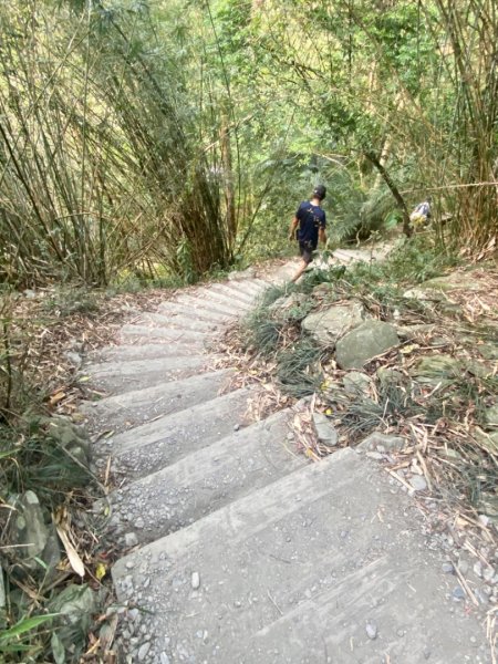 2020/05/03羅木斯溪登山步道949778