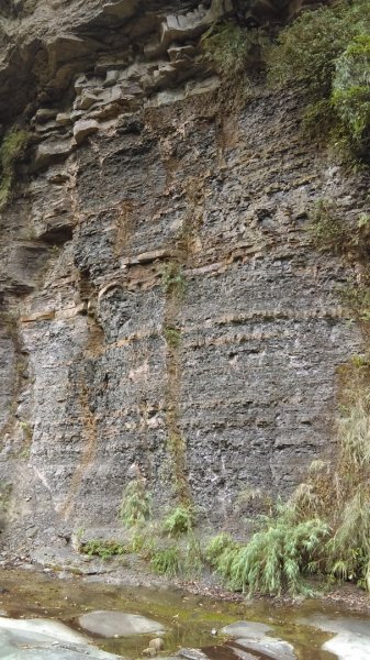 【小百岳寶石任務】姜子寮山絕壁、旗尾崙山1048163