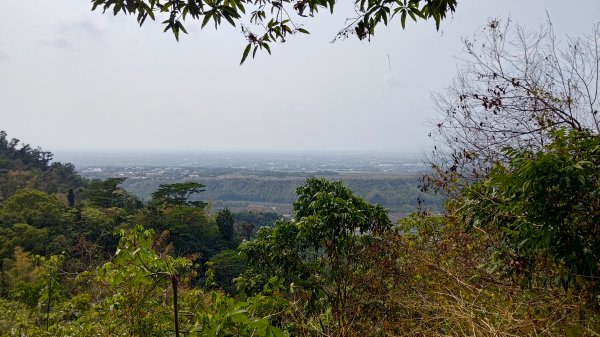 笠頂山3024128