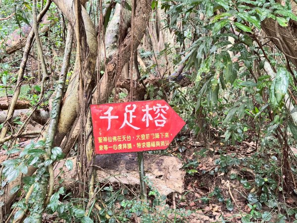 20251225恆春縱走赤牛嶺 大山母山 小尖石2969883