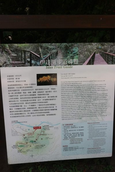 〔花蓮〕布洛灣吊橋+伊達斯步道+環流丘步道。一次走好走滿的布洛灣壯麗景觀步道2266369