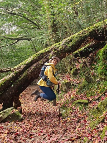霞喀羅古道全線解鎖（石鹿到養老）2961039