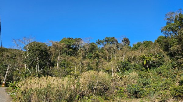 112.02.28 鵝公髻山之山上人家 O型2047663