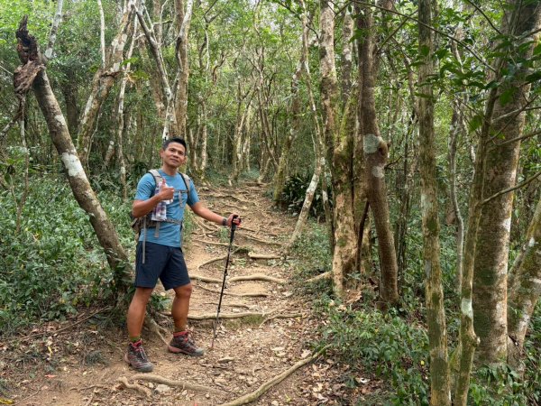 力里山【以產業道路為中央伍 散開】3000044