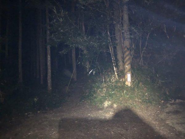 一魚多吃的高島縱走  帶孩子享受攀爬的452383