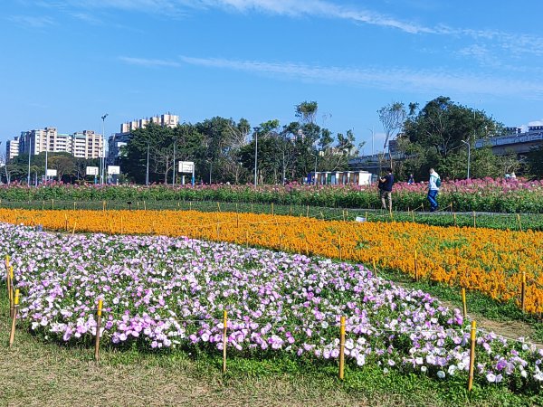 臺北大縱走第八段：捷運動物園站 - 捷運關渡站2723402