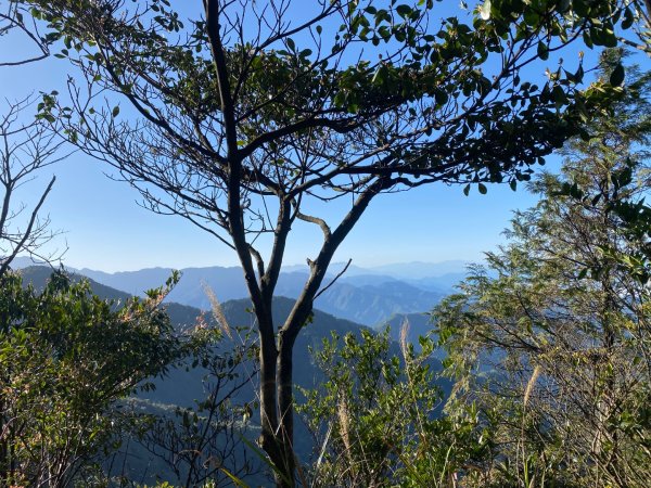 鳶嘴稍來山2602515