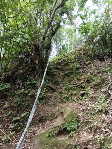 汐止區磐石嶺福興宮+581峰+雙十塔+耳空龜山+四分尾山+大尖山2805717