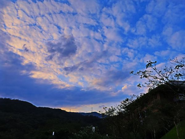 金山法鼓山園區步道100454