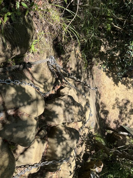 [微笑山線_第九段] 2025_0914 二格山系_皇帝殿西峰2889663