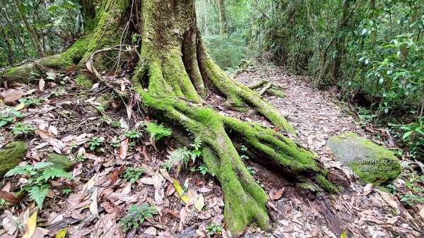 古坑嘉南雲峰.好望角.石壁山O形1500445