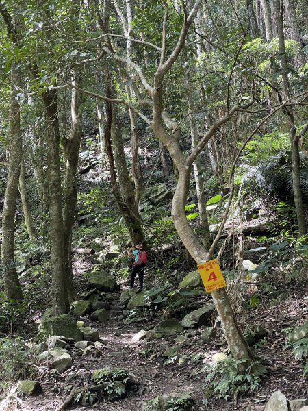 鳥嘴山(上島山) 202308132247096