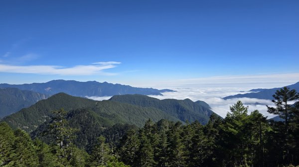 20241124-1130 南二段10座百岳2665451