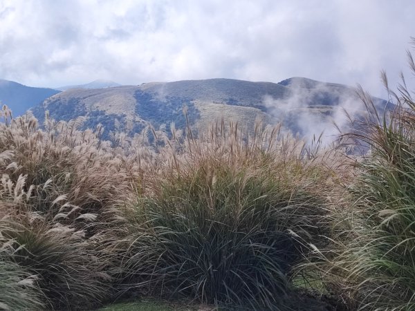 磺嘴山-陽明山國家公園2411367