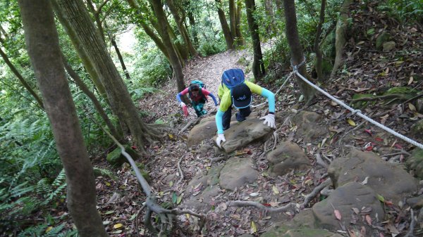 猴山岳縱走二格山登山健行趣(小百岳17號)1539382