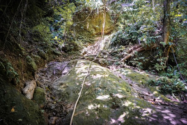 新竹關西鎮 石牛山938210