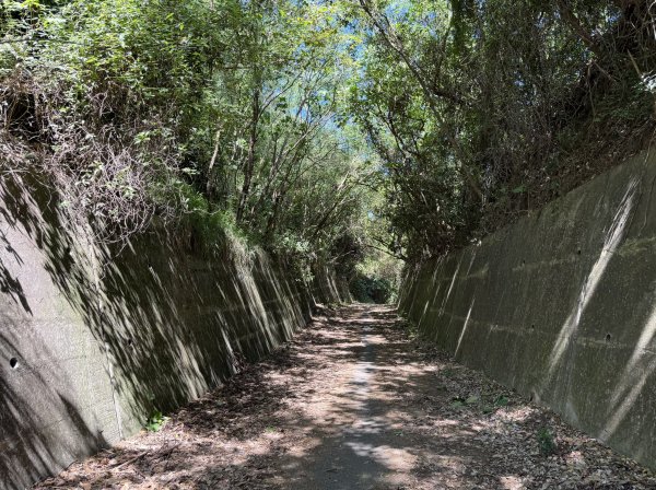 2025_1018 花蓮山步道2921262