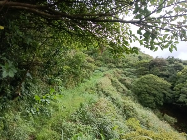 瑞芳區找尋半屏大瀑布未果2880970