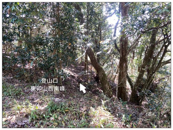 東卯山、東卯山西峰、東卯山西南峰 連走2932842