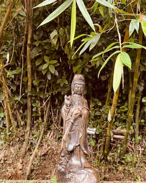 尋訪四國八十八番 石佛（藥師釋迦如來）觀音山石佛-弘法大師-水濂洞山-林安泰古宅2814364