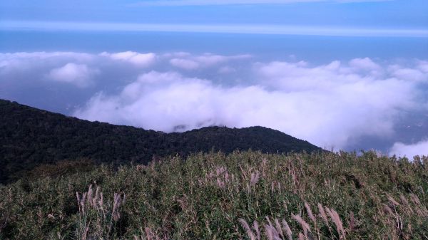 面天山層層雲海美極了!209236