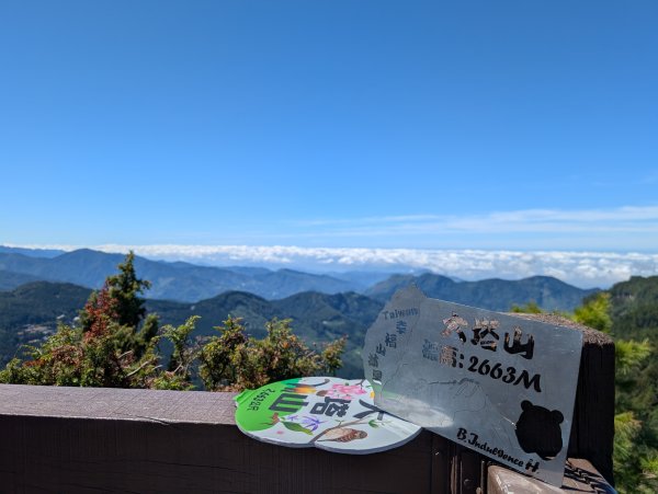 二訪阿里山國家森林遊樂區之大塔山對高岳之旅2991639