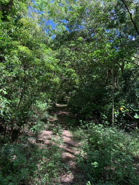 20250621屏東巴士墨山-草埔後山2821420